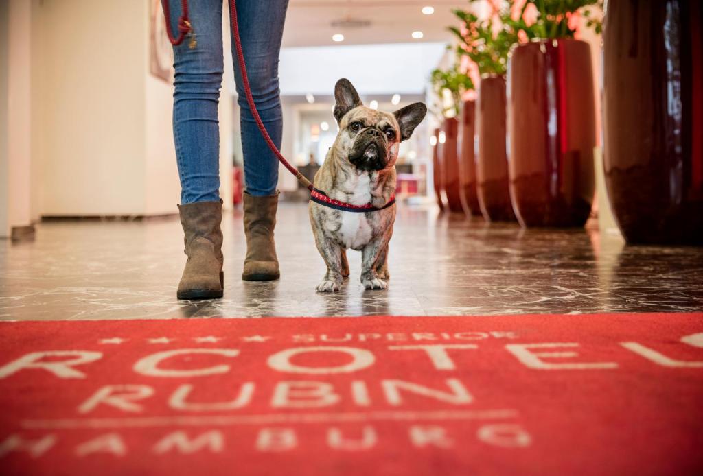 ARCOTEL Rubin Hamburg - Resim 32