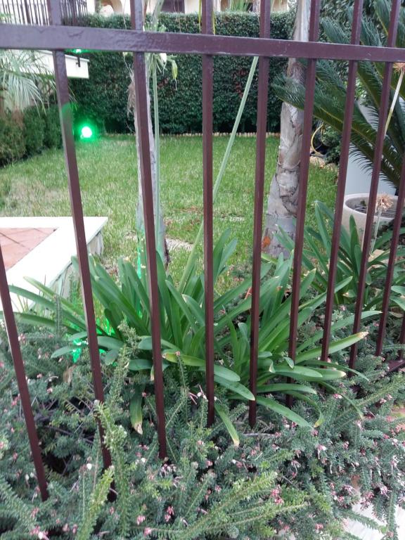 A garden outside B&B Lavinaio