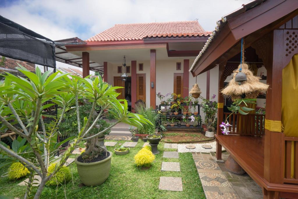 a garden in front of a house with plants at Maharani Homestay in Banyuwangi