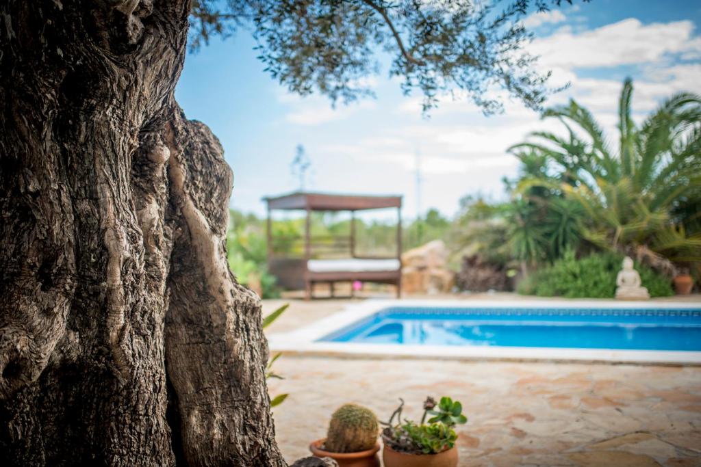 Villa Can Massaueta, Sant Jordi – Bijgewerkte prijzen 2023