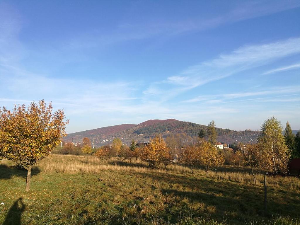 Príroda v okolí privátu