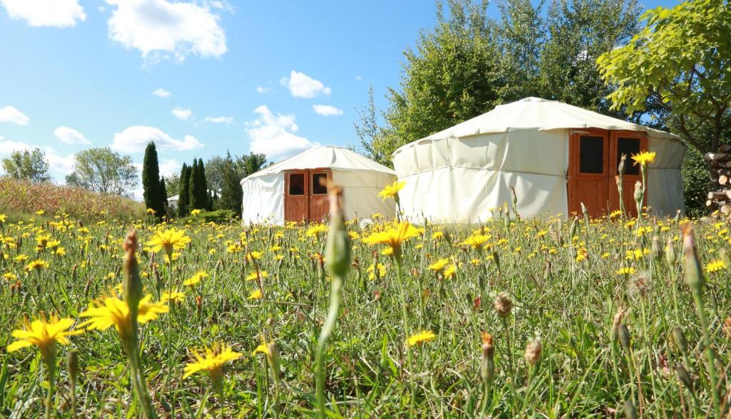 two yurt tents in a field of flowers at Élni jó ház in Szár