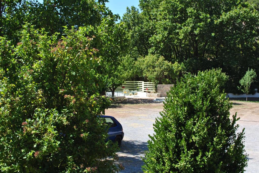 Zahrada ubytování Guesthouse Eleftherios