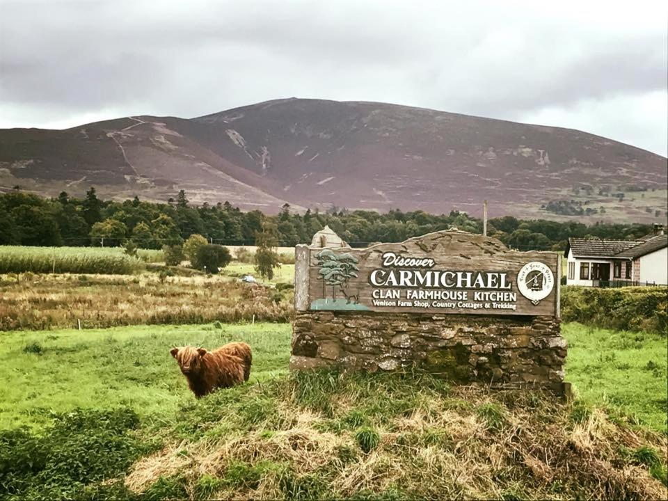 una mucca bruna in piedi in un campo vicino a un cartello di The Maid's House a Lanark