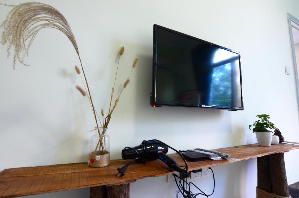 TV a/nebo společenská místnost v ubytování Peace Inn The Leshan Giant Buddha Branch