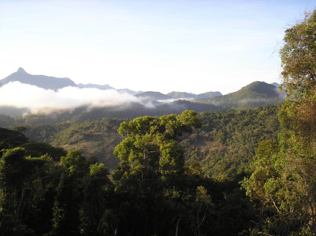  Suites em meio a Mata Atlântica