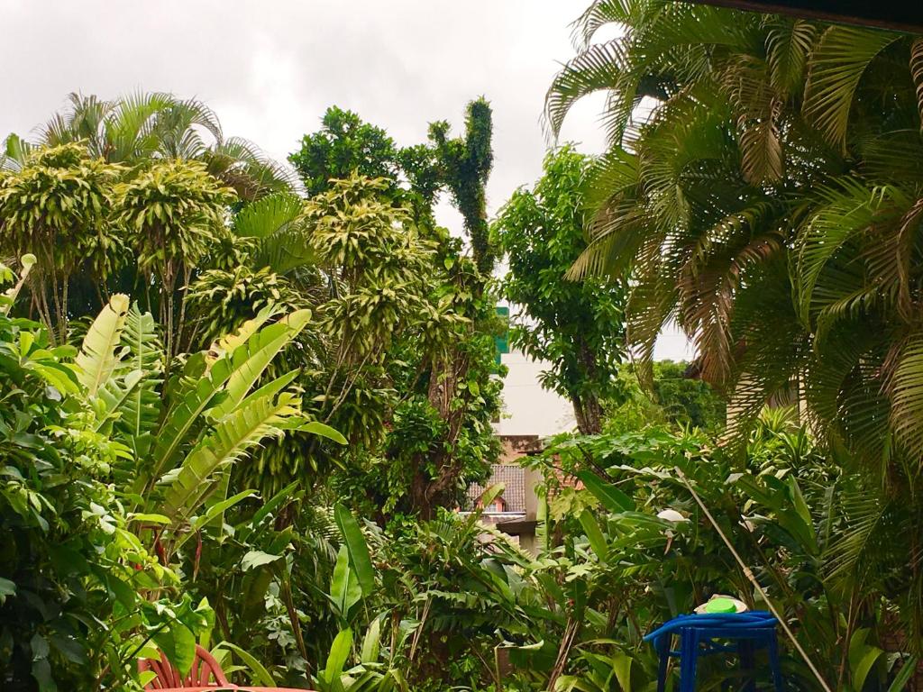 Vista de la piscina de Garden Stone o alrededores