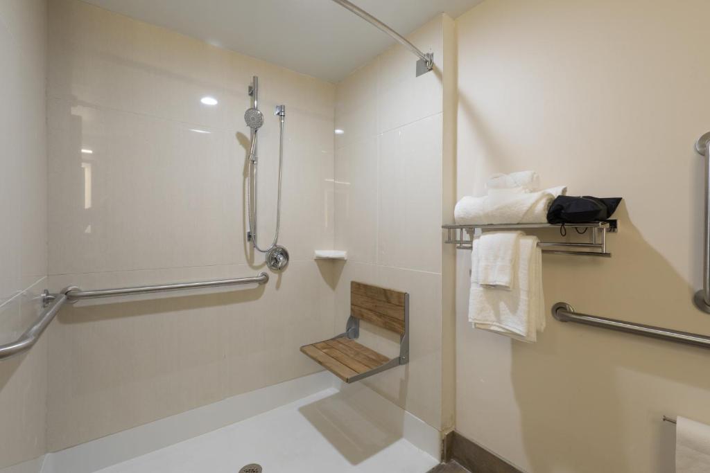 Holiday Inn Brookfield - Milwaukee, an IHG Hotel - 皇后区带淋浴的滚动 - 不吸烟