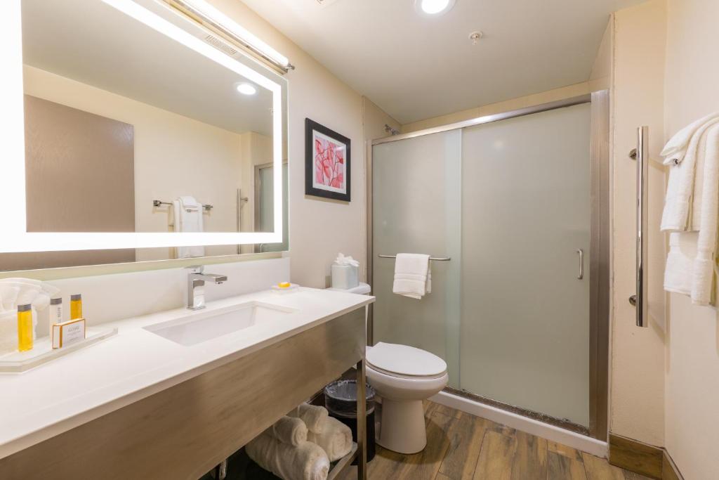 Holiday Inn Brookfield - Milwaukee, an IHG Hotel - One-Bedroom Suite With Two Queen Beds