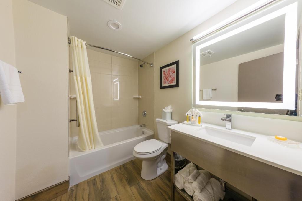 Holiday Inn Brookfield - Milwaukee, an IHG Hotel - King Room - Mobility Access Tub - Non-Smoking