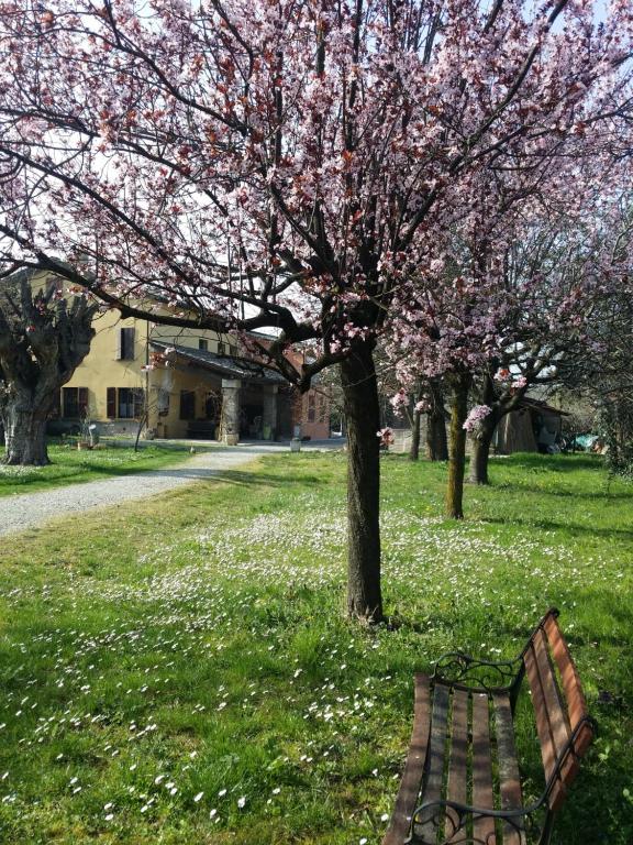 Zahrada ubytování R&B Albero Cavo Parma