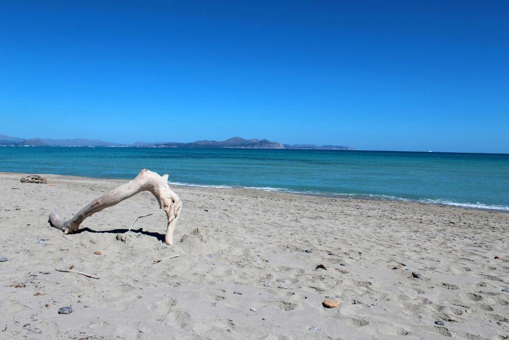 Casesambaire, Son Serra de Marina – Updated 2023 Prices