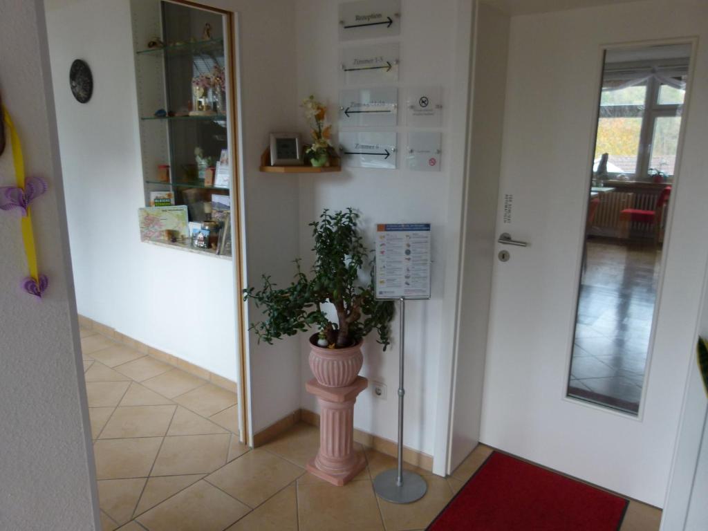 Fotografie z fotogalerie ubytování Hotel Holzhauer v destinaci Bad Wildungen