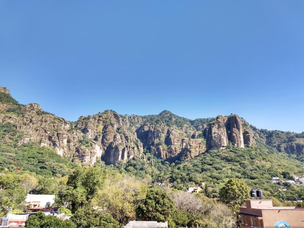 Blick auf einen Berg mit Bäumen und Häusern in der Unterkunft Posada Cuallicochi in Tepoztlán