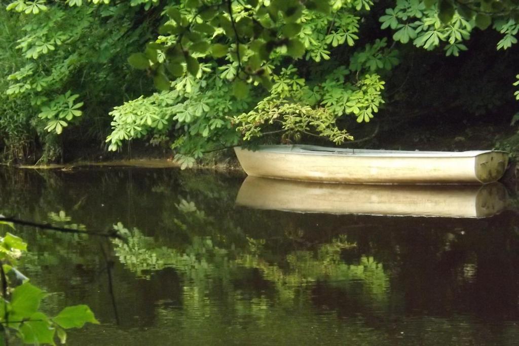 Výhled na řeku, která protéká v blízkosti prázdninového domu