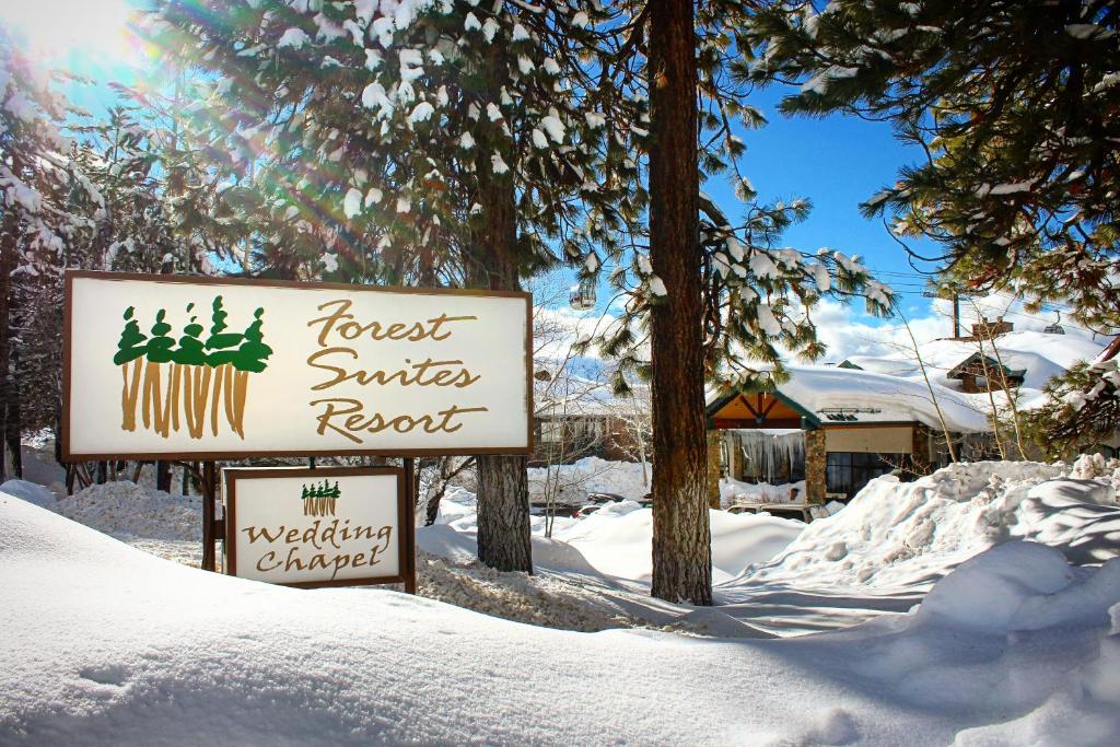 Forest Suites Resort at the Heavenly Village v zimě
