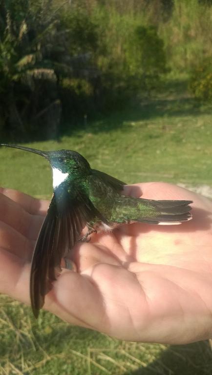  Pousada Esmeraldas