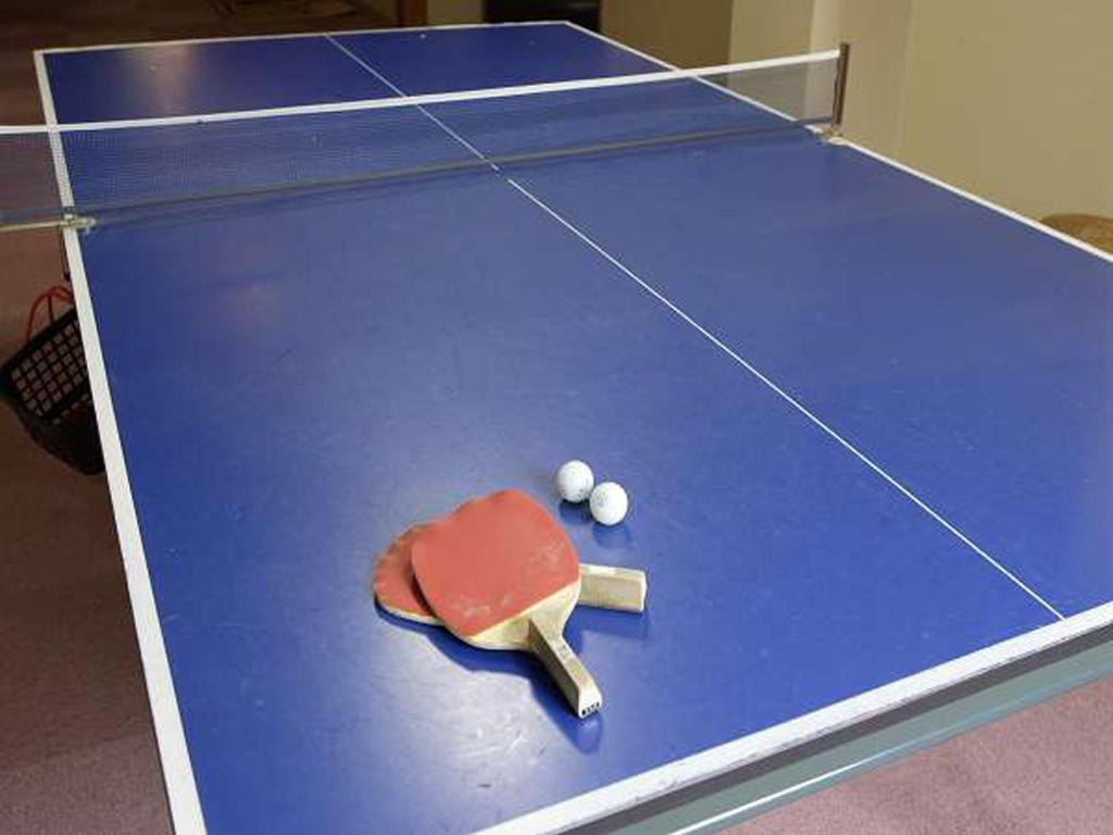 Stolní tenis v ubytování Kosenkaku Yoshinoya nebo okolí