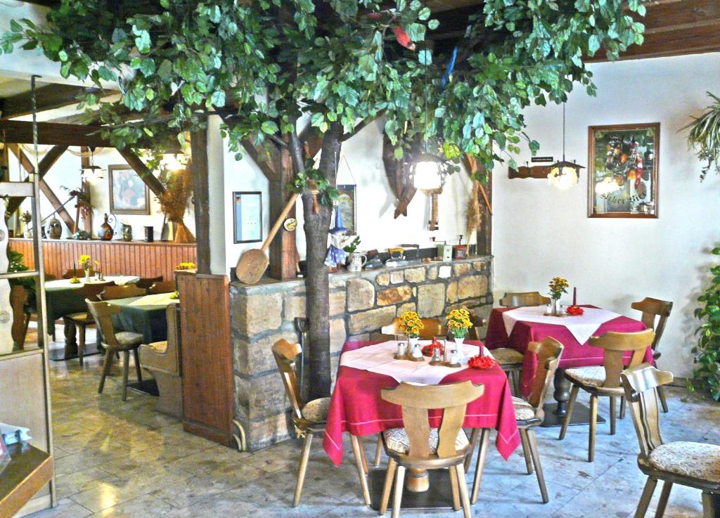 Restaurace v ubytování Hotel Lindenhof