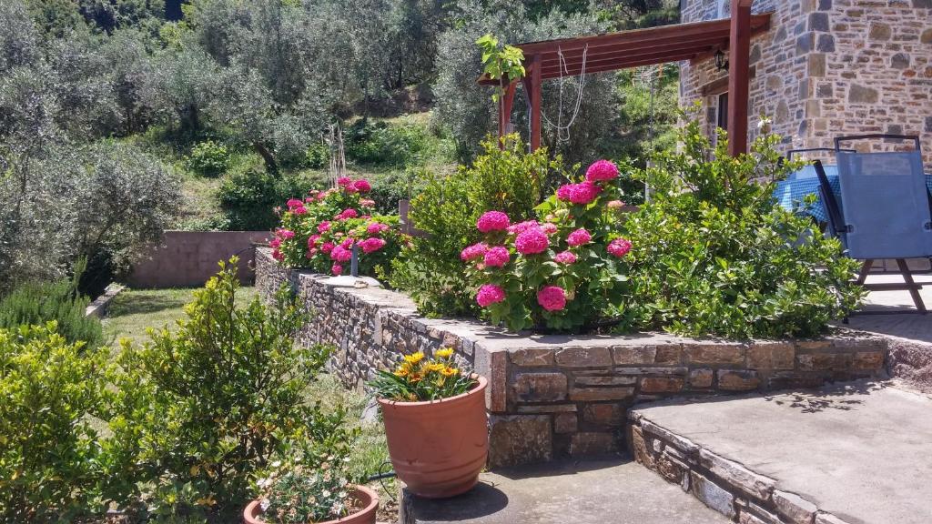 um jardim com flores cor-de-rosa numa parede de pedra em Orly's Villas em Chorefto