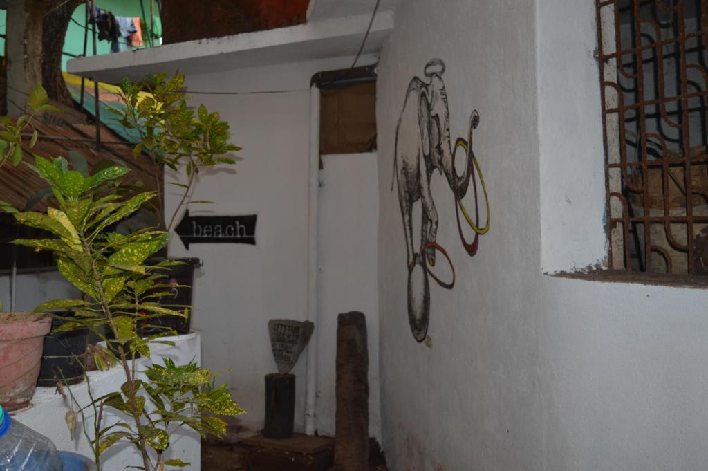 Fotografie z fotogalerie ubytování Cactus Guesthouse v destinaci Arambol