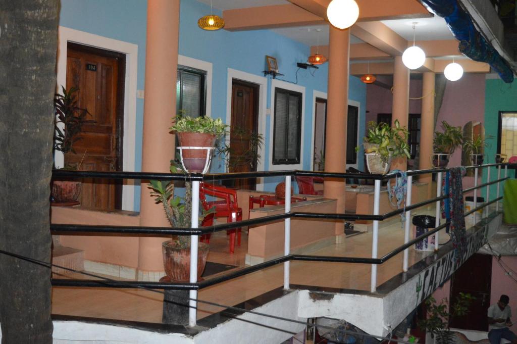 Fotografie z fotogalerie ubytování Cactus Guesthouse v destinaci Arambol