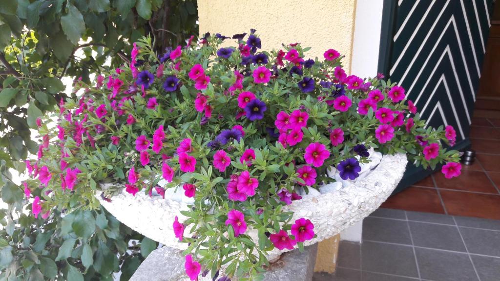 Zahrada ubytování Haus am Bach