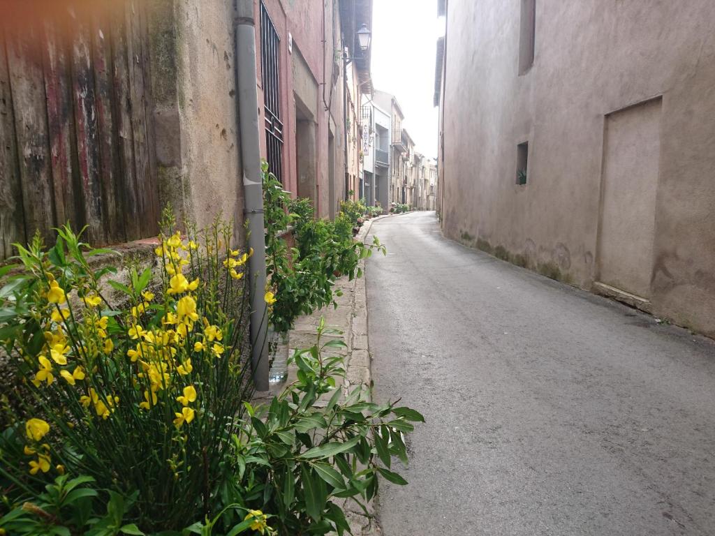un callejón vacío con flores amarillas junto a una valla en Cal Ton, en Castelltersol
