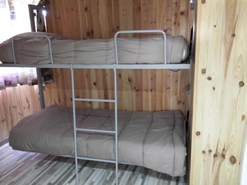 2 literas en una habitación con paredes de madera en estudio muy acogedor en Sierra Nevada