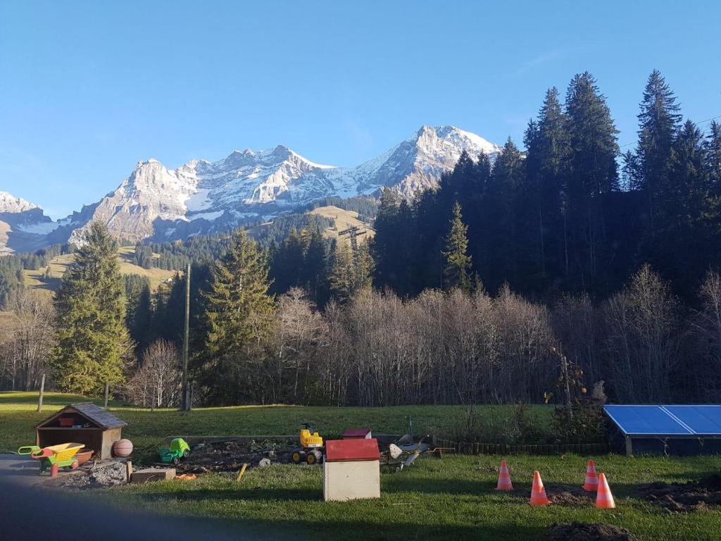 widok na pole z górami w tle w obiekcie Chalet Wildbach w mieście Adelboden