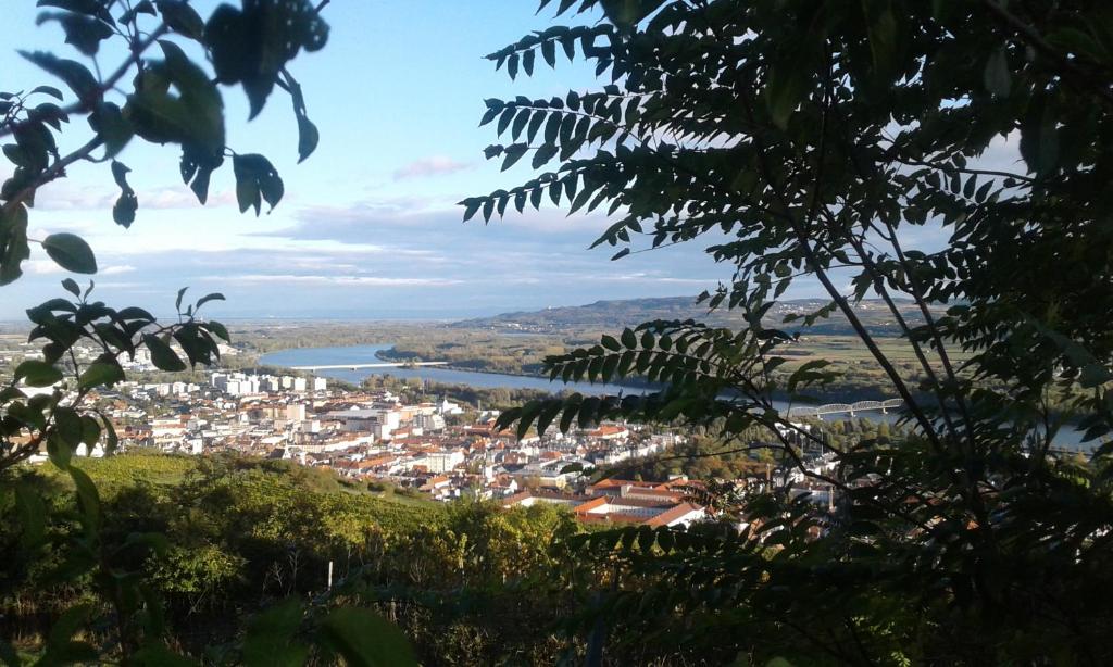 Príroda v okolí apartmánu
