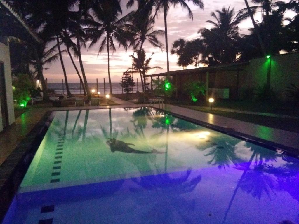 a swimming pool with a shark in the water at night at Hotel Ocean View Cottage in Hikkaduwa