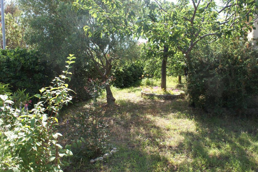 Vonkajšia záhrada v ubytovaní Apartment Ana M