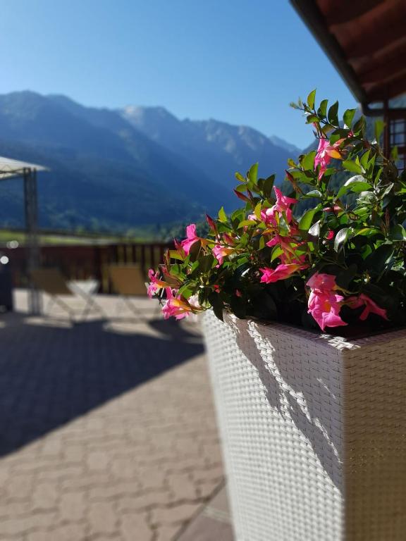 Widok na góry z tego hotelu