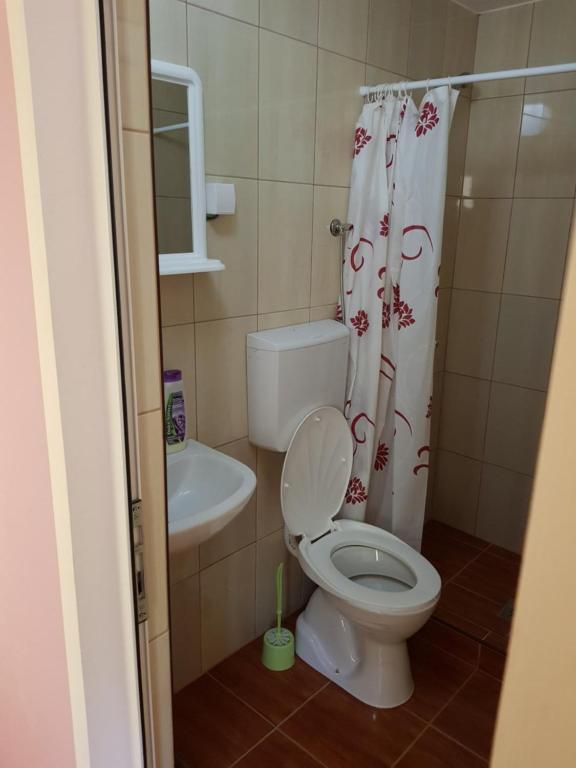 Koupelna v ubytování Guest House Lisinski Raj