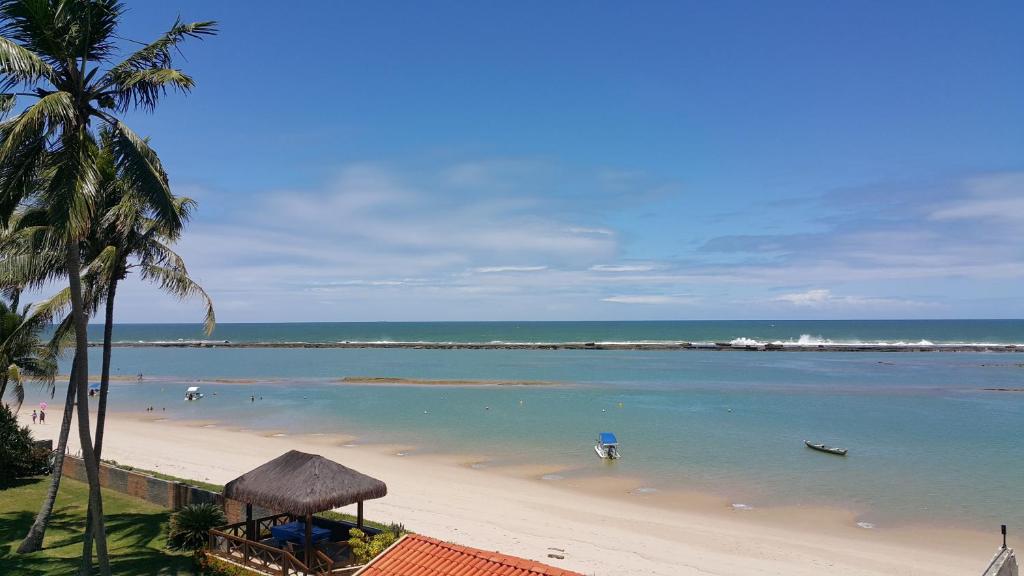 una spiaggia con una palma e l'oceano di Apt. Cond. Barra Bali a Barra de São Miguel