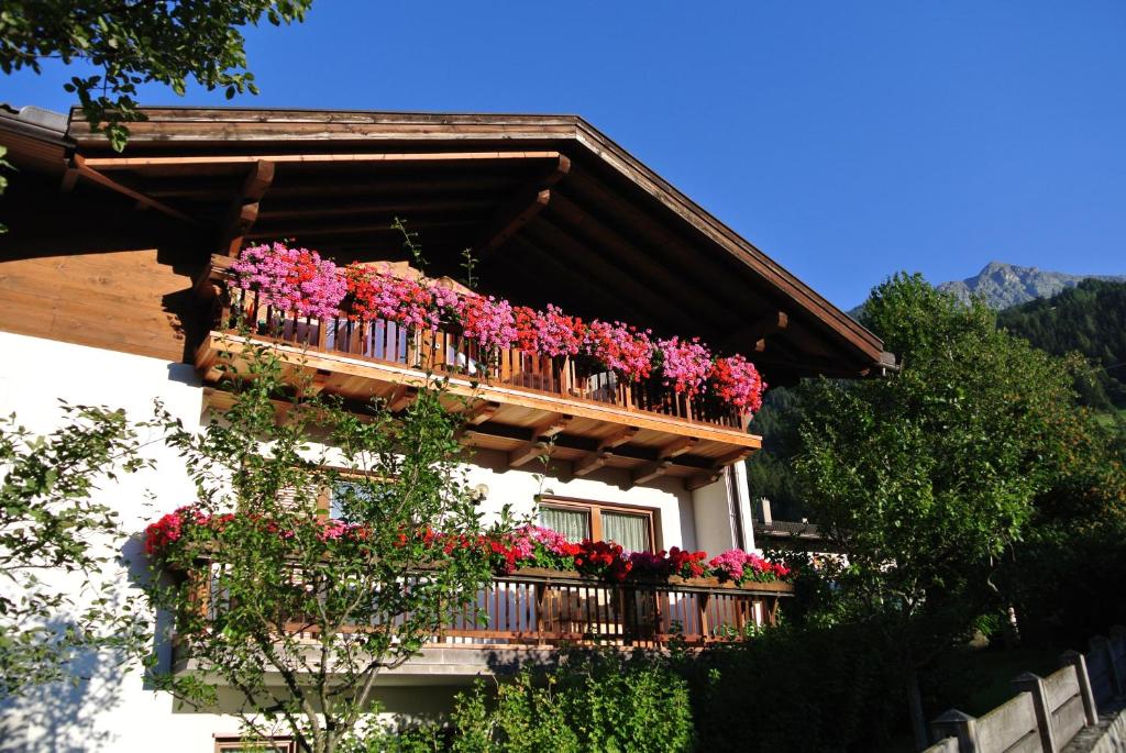 Widok na góry z tego aparthotelu