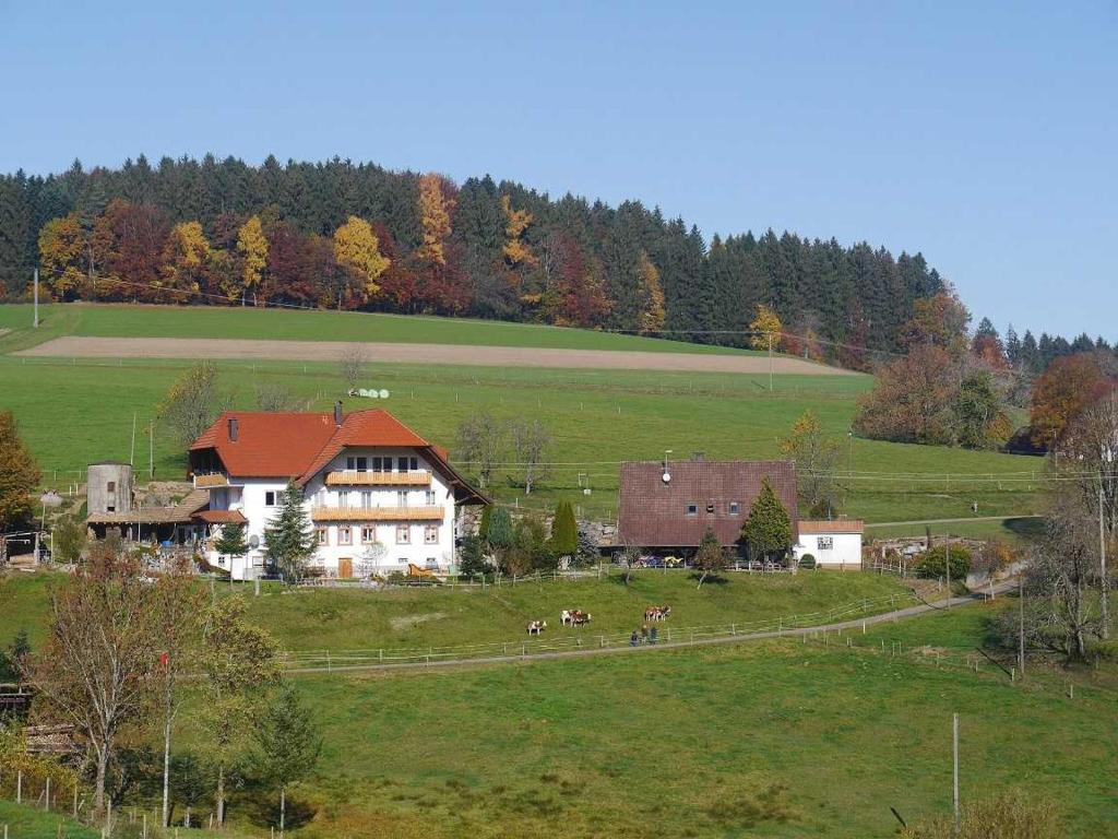 a house in a field with horses in a field at Dischhof in Biederbach Baden-Württemberg