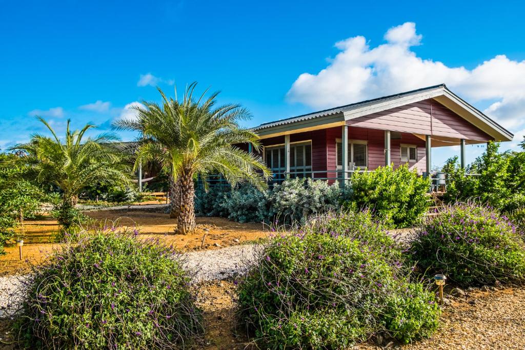 Zahrada ubytování Red Palm Village