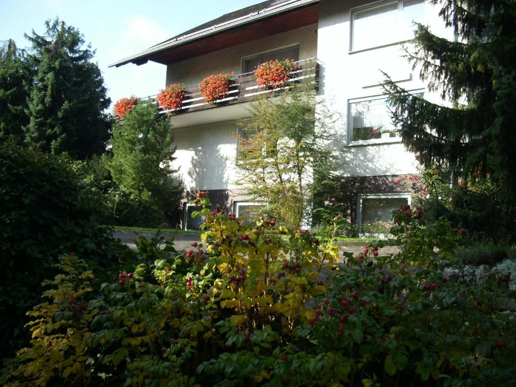 uma casa com flores em frente em Pension Ferienwohnungen Rosenschlösschen em Willingen