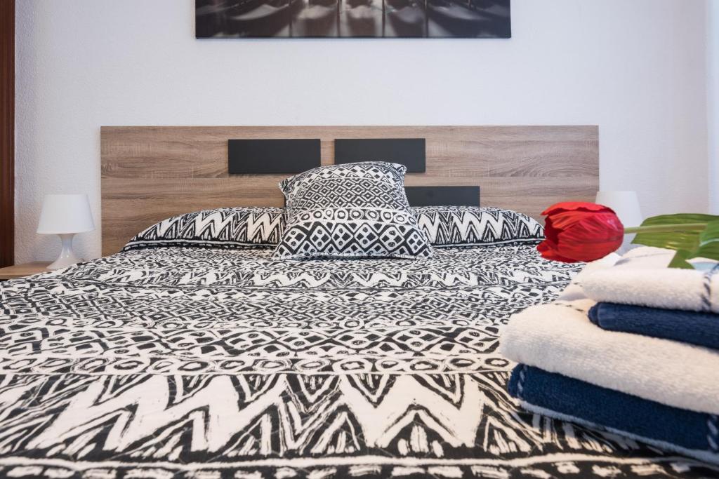 Apartamento Segalerva Centro - 13