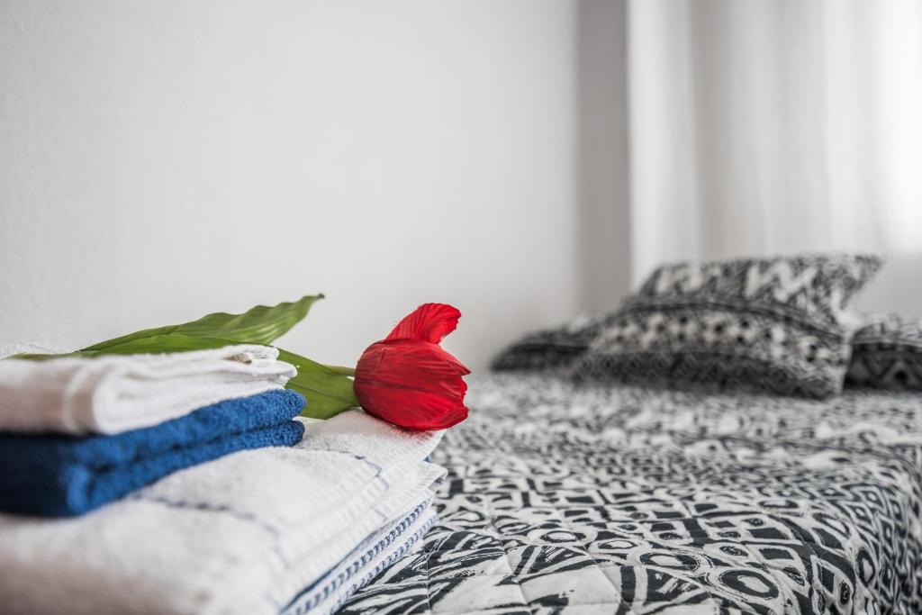 Apartamento Segalerva Centro - 19