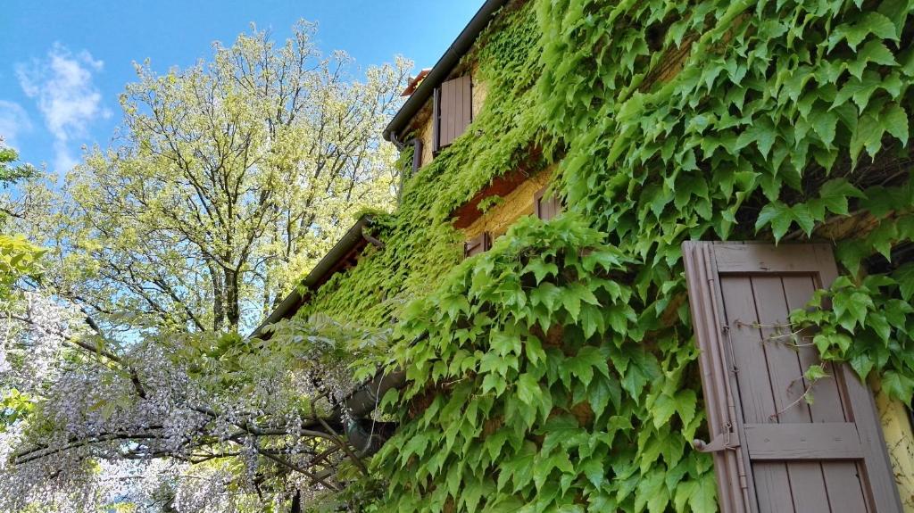 Zahrada ubytování B&B Le Due Volpi