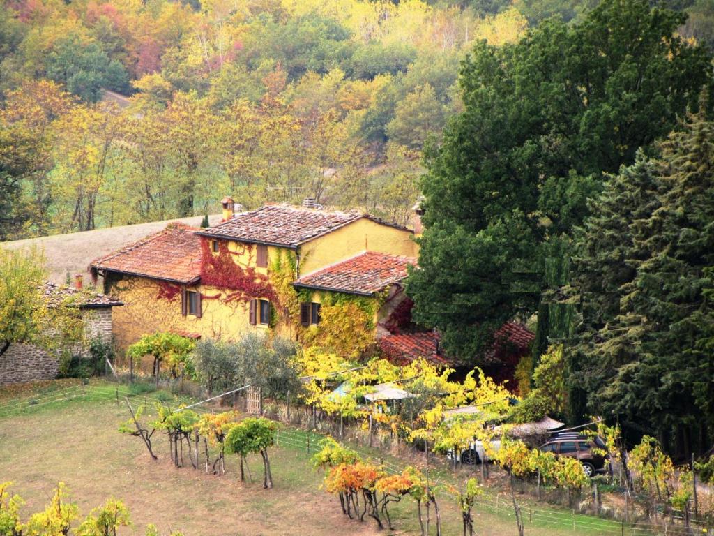 Zahrada ubytování B&B Le Due Volpi