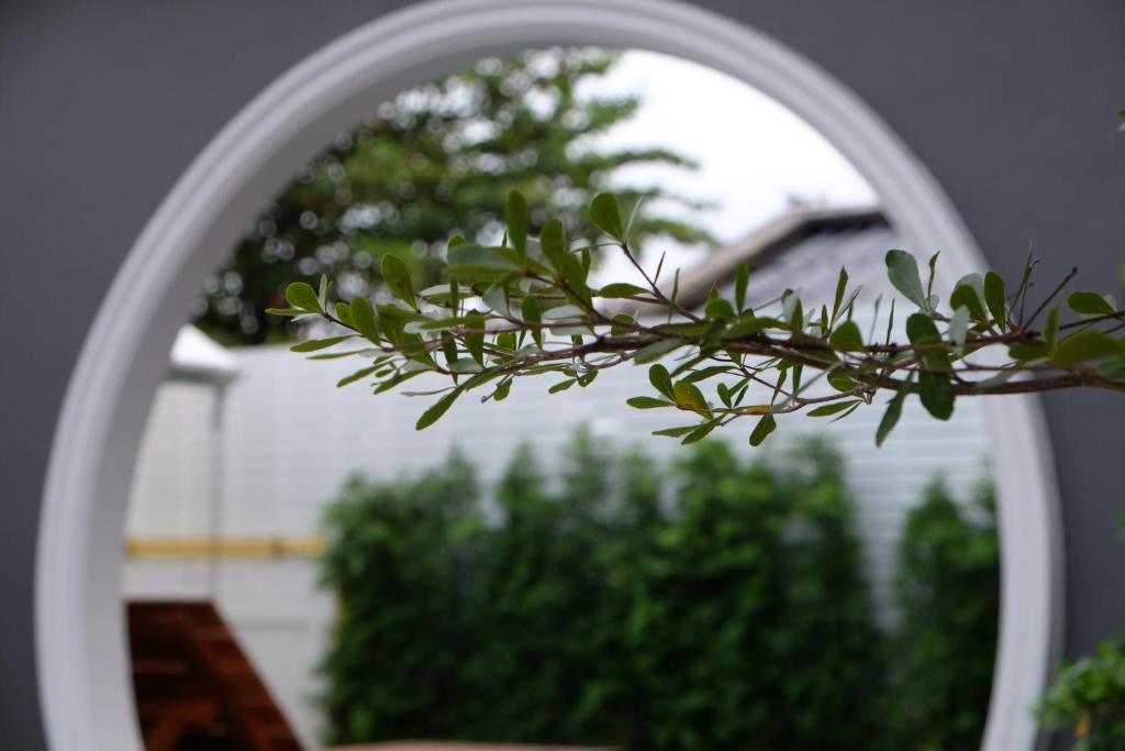 a mirror reflection of a tree in front of a plant at The Besavana Phuket - SHA Extra Plus in Phuket Town