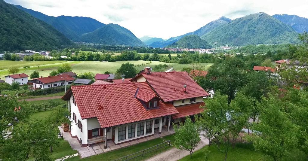 Příroda nedaleko farmy
