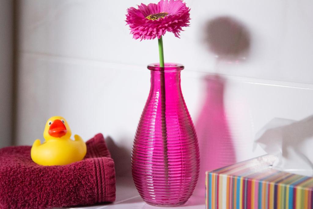 Gästehaus Europa - 11