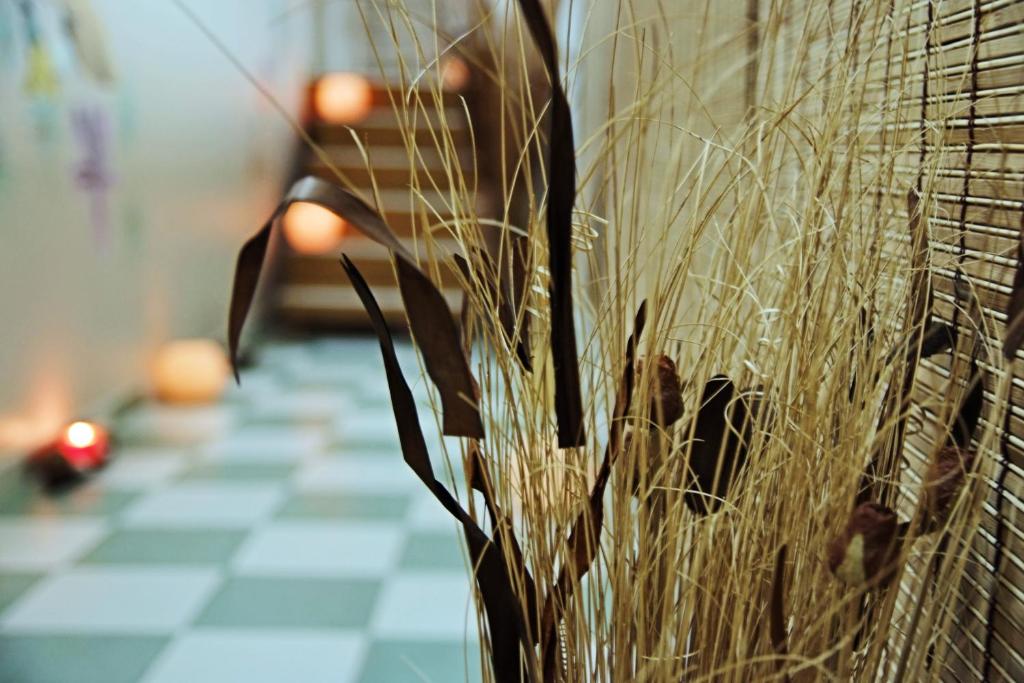 Fotografie z fotogalerie ubytování Silver Hotel v destinaci Oradea