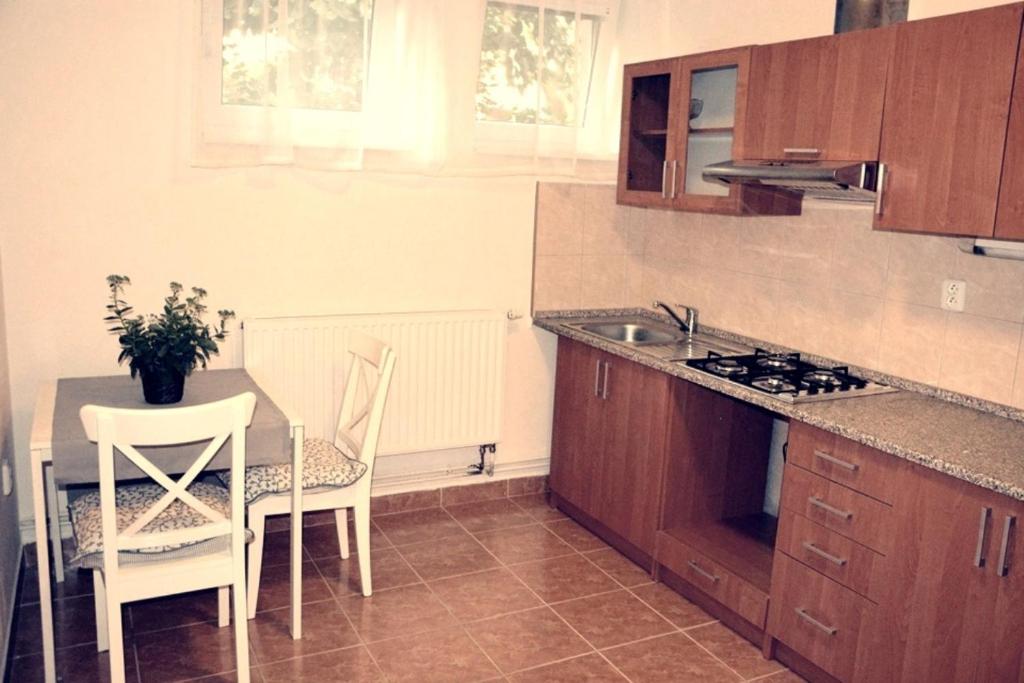 kuchnia ze stołem, krzesłami i blatem w obiekcie Apartmány Pod Putimskou branou w Piosku
