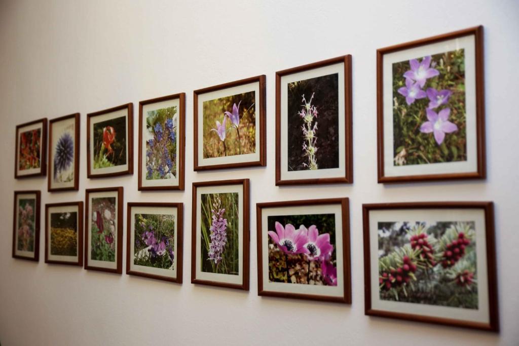 Fotografie z fotogalerie ubytování Anixis Hotel v destinaci Loutra Ipatis